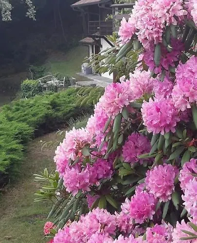 Casa Birtukan 펜션 *